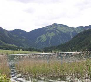 Blick nach Tannheim