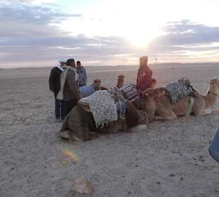 Sonnenuntergangsritt auf Kamelen