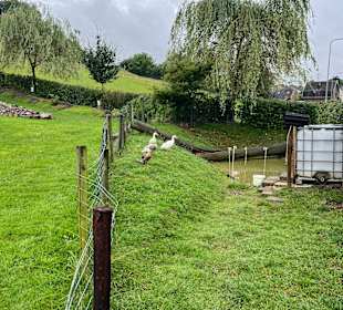 Kinderbauernhof Het Bukske