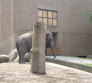 Zoologischer Garten Berlin