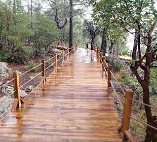 Fußweg vom Parkplatz zum Adlerauge