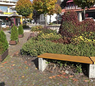 Stadtrundgang Schluchsee