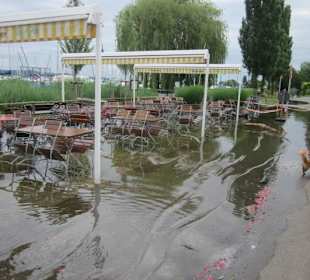 Insel Reichenau Hochwasser
