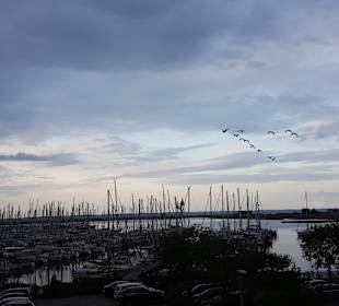 Yachthafen Heiligenhafen