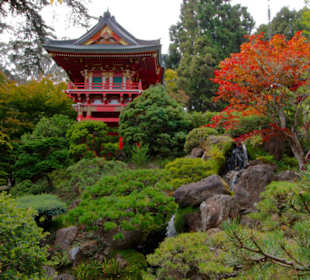 SF Japanese Tea Garden