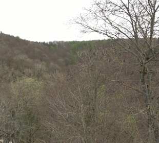 Wanderung rund um das Rusenschloss Gerhausen