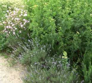 ALB-GOLD Naturgarten