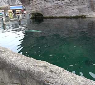 Zoologischer Stadtgarten