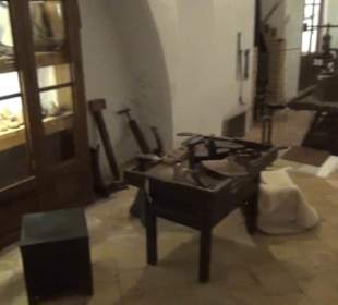 Erdgeschoss - Häute + Felle