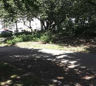 Alter Elbepark