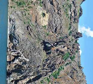 Золотые ворота