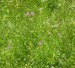 Valepper-Almen-Rundwanderung