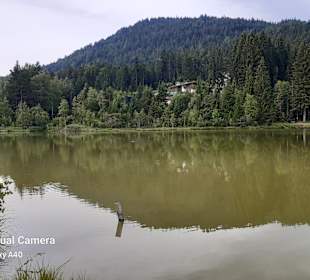 Wildsee