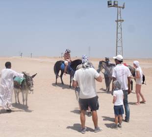 Ausflug zum Kamel- und Eselreiten
