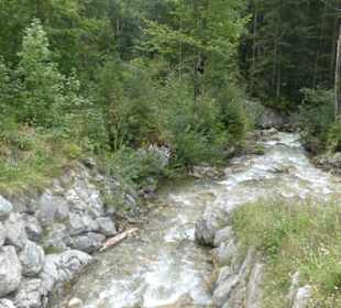 Entlang der Ramsauer Ache durch den Zauberwald