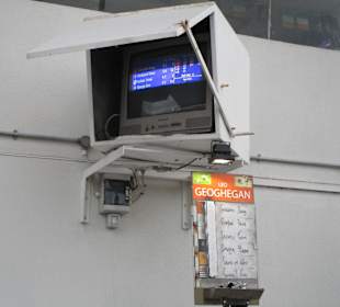 Windhundrennen Tralee