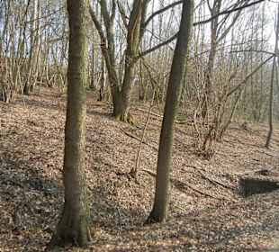 Wunderschöne Boberger Niederung