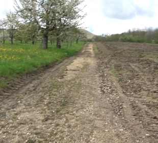 Naturerlebnisweg des NABU-Metzingen