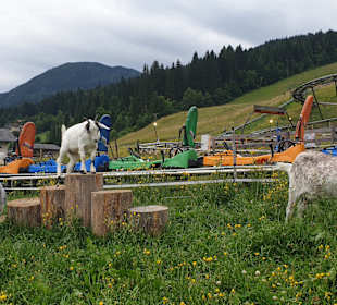 Rodelbahn Lucky Flitzer