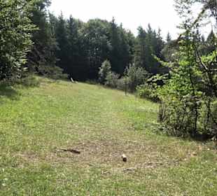 Premiumwanderweg "hochgesprudelt"