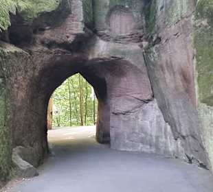 Felsenlandschaft im Zoo