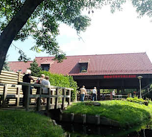 Großer Spreewaldhafen Lübbenau in Lübbenau