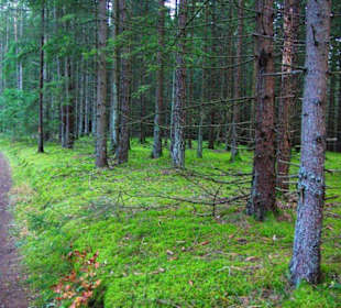 Kletterparadies in Kirchenbirkig