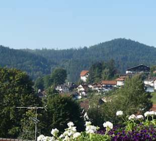 Bei unseren Spaziergängen in / bei Bodenmais