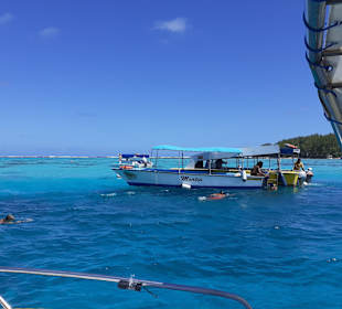 Glasbodenboot Tour Blue Bay
