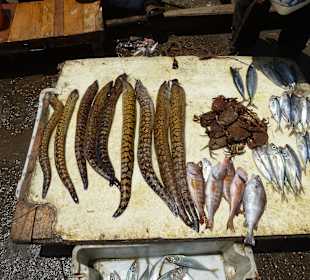 Auf dem Fischmarkt im Hafen