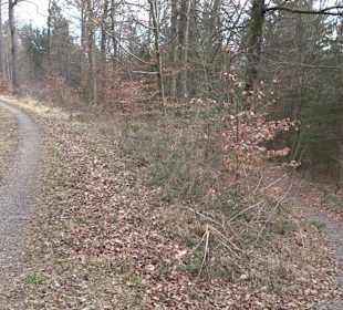 Unterjesinger Wengertwegle