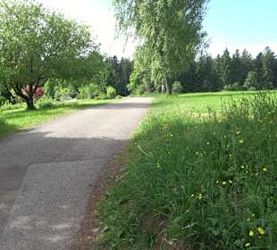 Flößerpfad Loßburg