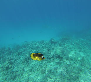 Unterwasser offenes Meer