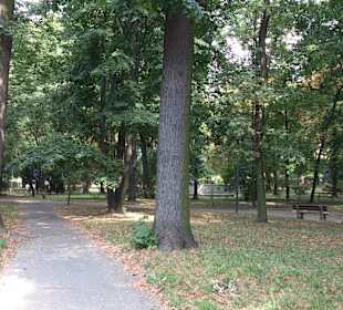 Wejście do parku od strony ogrodowej