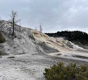 Yellowstone Nationalpark