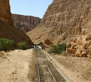 Ausflug in die Sahara