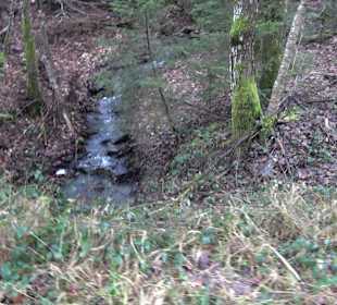 Wanderung rund um den Ochsenweiher