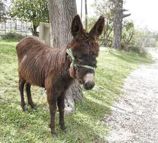 Auch für Kinder ein Vergnügen.