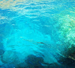 Meeresfarben - herrlich! vor der Küste von Paxos.