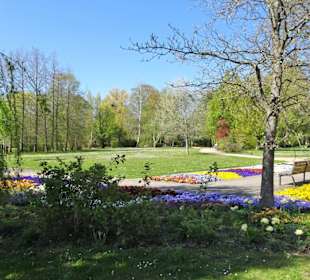 Impressionen vom Rundgang durch den Kurpark