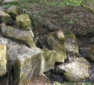 Barfußpfad Firstwald