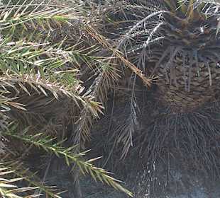 Hidden treasures of Creta: White lagoon