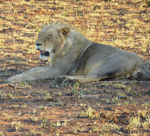 Müßt Ihr immer stören