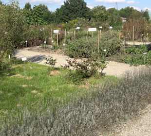 Botanischer Garten München