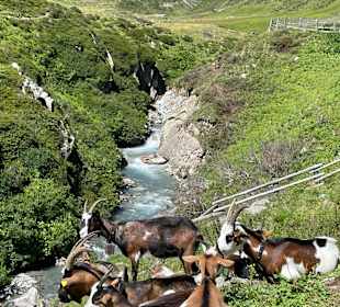 Wandern St. Jakob im Defereggental
