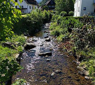 Stadtrundgang Glottertal