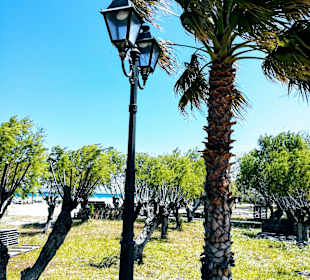Strand Tigaki
