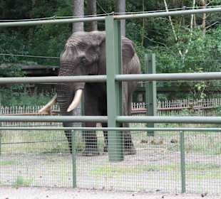Serengeti Park Hodenhagen
