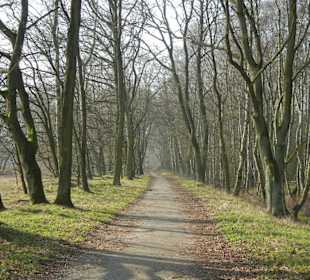 Wunderschöne Boberger Niederung