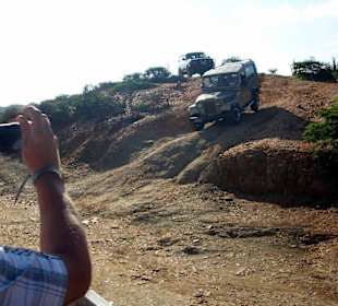 Jeep-Safari